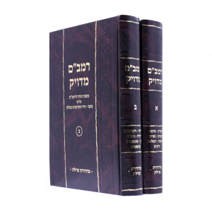 Rambam Meduyuk     /     רמב"ם מדויק