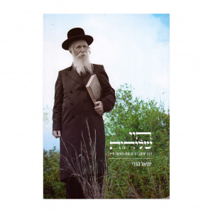 Meged Chadash AL Hilchos Shabbos / מגד חדש על הלכות שבת 