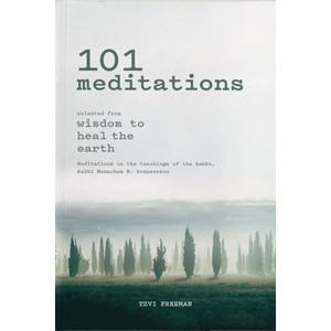 101 Meditations - Freeman