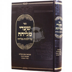 Shaarei Melicha   /   שערי מליחה
