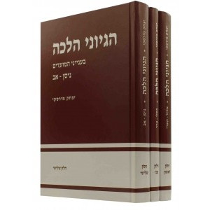 Hegyoni Halacha    /   הגיוני הלכה ג"כ