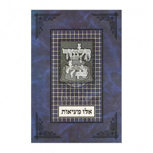 Gemara Perek Eilu Metzios - Tuvia             /  גמרא פרק אלו מציאות - טובי-ה