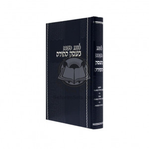 L'aneg Hashabbos B'eisek Hatorah  /  לענג השבת בעסק התורה