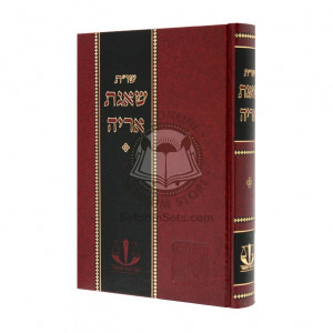 Shut Shagas Aryeh        /        שו"ת שאגת אריה