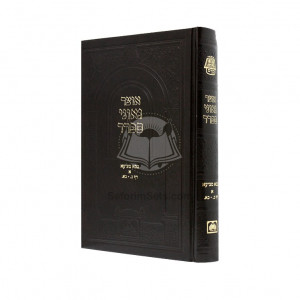 Otzer Geonei Sefard Bava Metzia Alef / אוצר גאוני ספרד בבא מציעא א