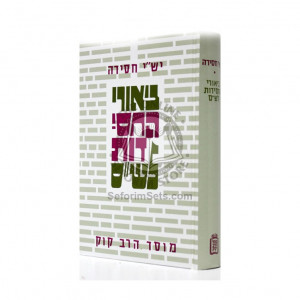 Biurei Hachsidus L'shas     /    ביאורי החסידות לש"ס