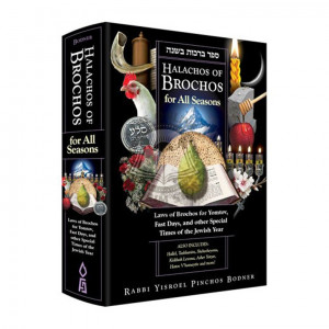 Halachos Of Brochos For All Seasons 