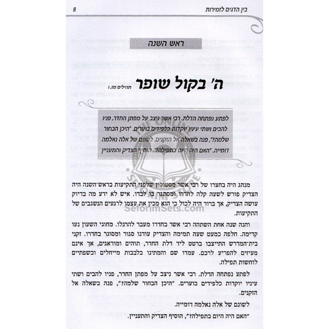 Bein Hadagim L'zmiros Vol 3   /   בין הדגים לזמירות ח"ג - חגים
