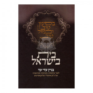 Bayis B'yisroel  /  בית בישראל