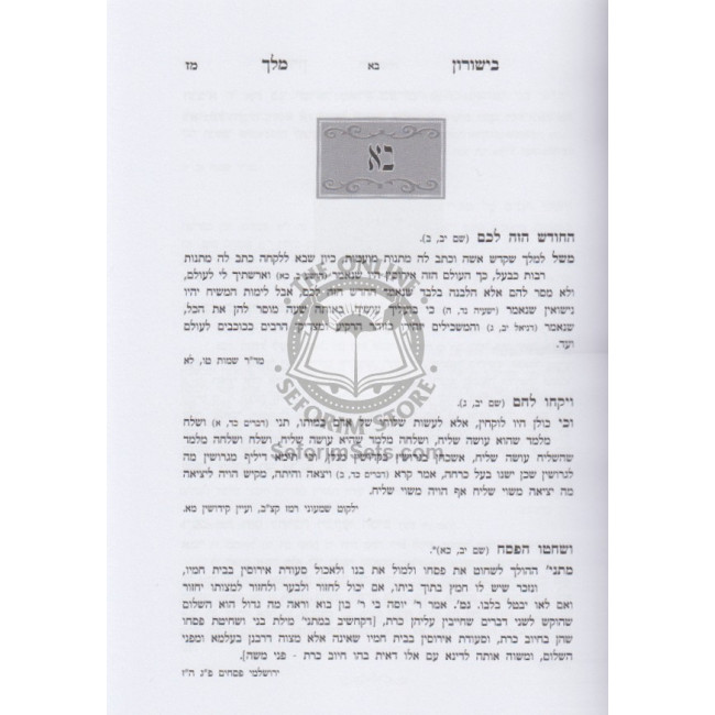 Bishurun Melech  / בישורון מלך