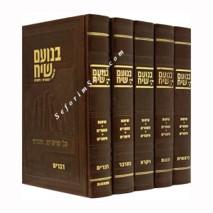 Bnoam Siach - Sichos -  Mamorim - Sipurim        /      בנועם שיח - שיחות - מאמרים - סיפורים