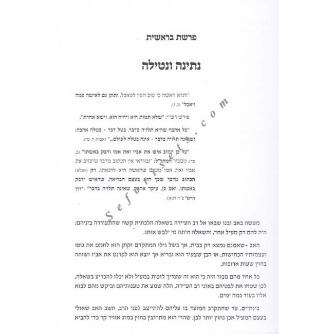 Bnoam Siach - Sichos -  Mamorim - Sipurim        /      בנועם שיח - שיחות - מאמרים - סיפורים
