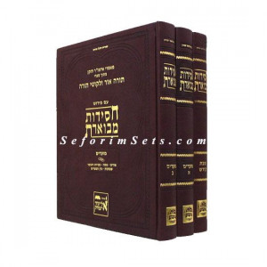 Chassidus Mevueres  Shabbos, Moadim 1, 2 /    חסידות מבוארת שבת, מועדים א, ב