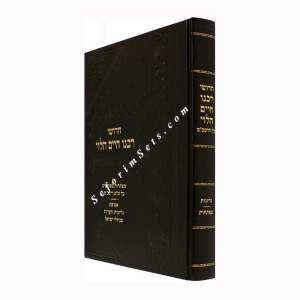 Chidushei Rabbeinu Chaim Halevi     /    חידושי רבינו חיים הלוי
