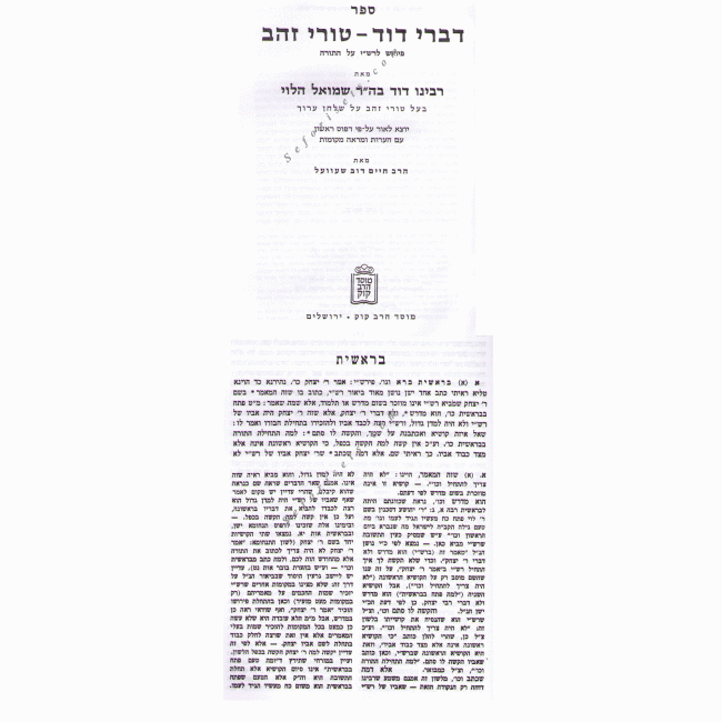 Divrei Dovid      /     דברי דוד