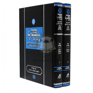 Gur Aryeh  /  גור אריה