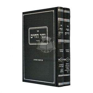 Gesher Hachayim          /         גשר החיים