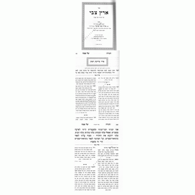 Haggadah Eretz Tzvi     /    הגדה ארץ צבי