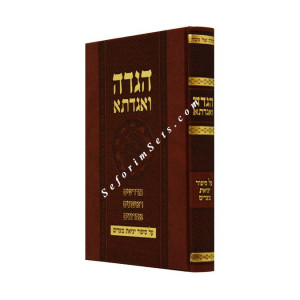 Haggadah V'agadita 