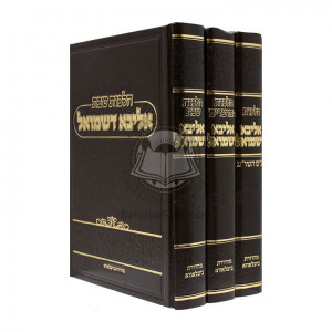 Halochos Aliba Dishmuel  /  הלכות אליבא דשמואל