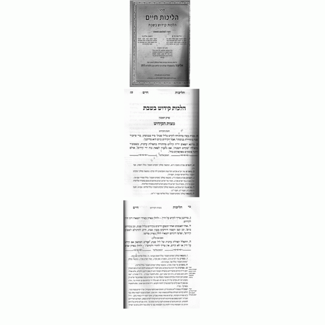 Halichos Chayim - Kiddush / הליכות חיים קידוש