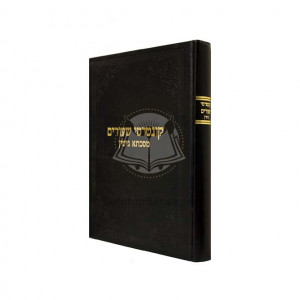 Kuntreisai Shiurim Gittin   /   קונטרסי שעורים גיטין