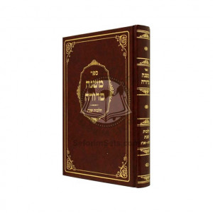Mishnah Sdurah Hilchos Shabbos / משנה סדורה הלכות שבת