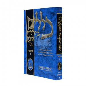 Klolim B'hilchos Shabbos Vol. 3 / כללים בהלכות שבת  - מוקצה ג