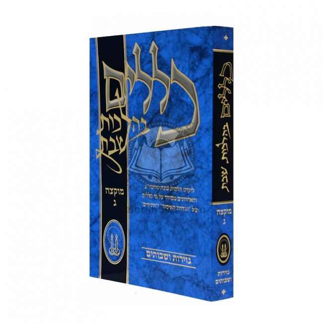 Klolim B'hilchos Shabbos Vol. 3 / כללים בהלכות שבת  - מוקצה ג