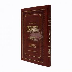 Kol Menachem Megillah 
