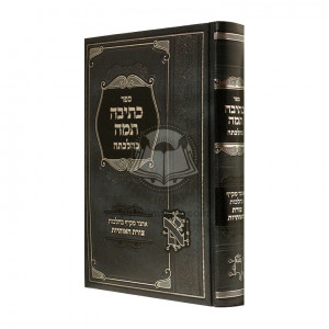 Kesiva Taama K'Halachasa       /       כתיבה תמה כהלכתה