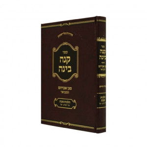 Knei Binah - Hilchos Shabbos   /  קנה בינה - הלכות שבת