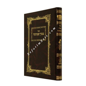 Maivin Shmuah Bava Metzia   /   מבין שמועה בבא מציעא