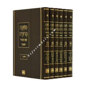 MISHNAH BERURAH OZ VEHADAR MEDIUM             /           משנה ברורה עוז והדר בינוני עם ליקוט הרב