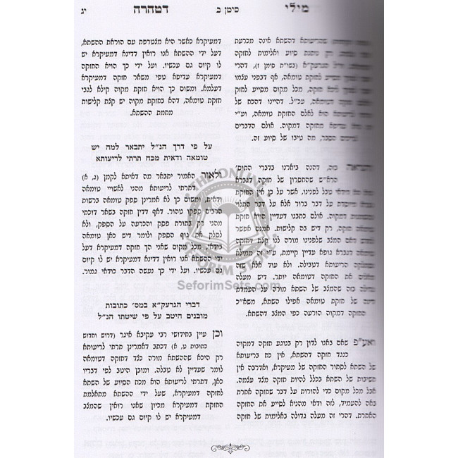 Mili Detahara - Maseches Nida / מילי דטהרה על מסכת נדה