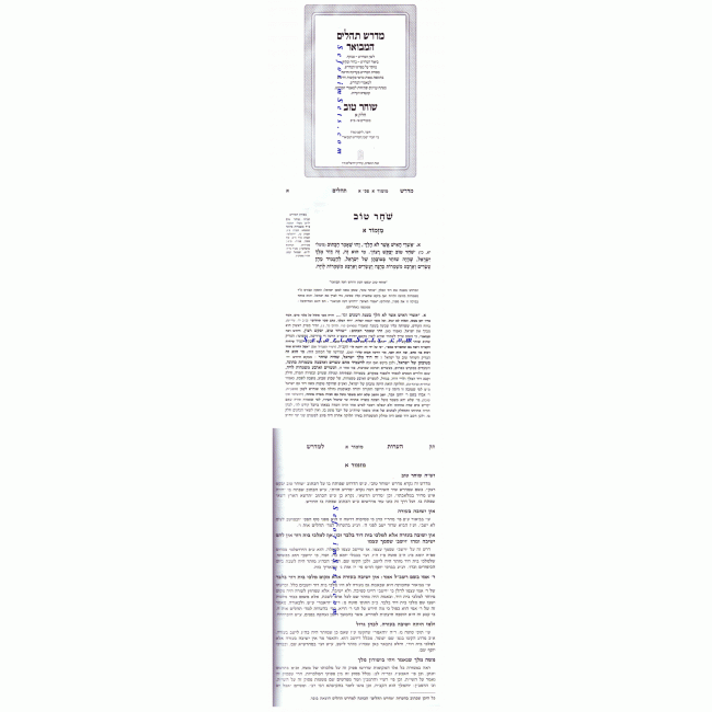 Midrash Tehilim HaMevuor    /   מדרש תהלים המבואר