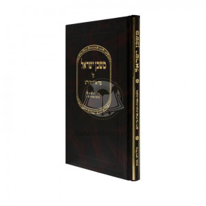 Mishkan Yisroel      /      משכן ישראל על טור או"ח סי' ר"מ
