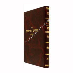 Megadim Chadashim - Masechet Shabbos