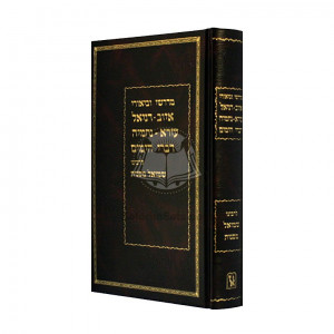 Midrashei Ubiurei Iyov L'Rabbeinu Shmuel   /   מדרשי וביאורי איוב וכו' לרבינו שמואל מסנות