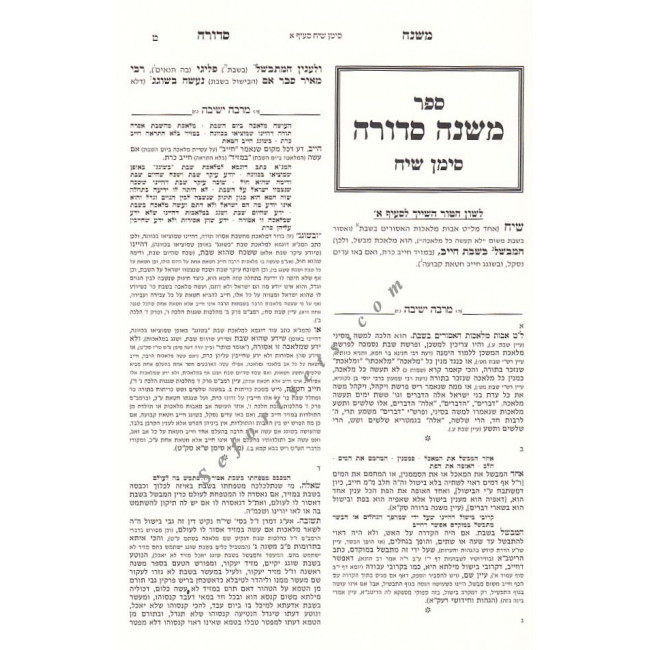 Mishnah Sedurah - Hilchos Shabbos - Siman 318