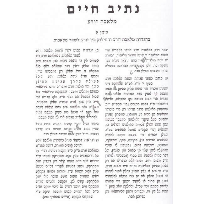 Nesiv Chaim - Masechet Shabbos