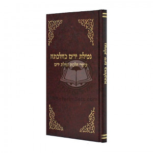 Netilas Yadayim K'Hilchasa / נטילת ידים כהלכתה
