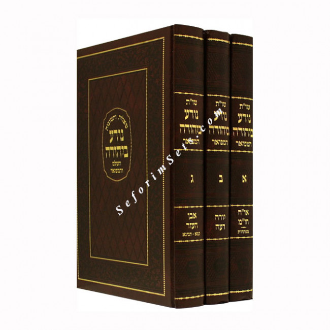 Shut Nodah BiYehuda        /      שו"ת נודע ביהודה מיר