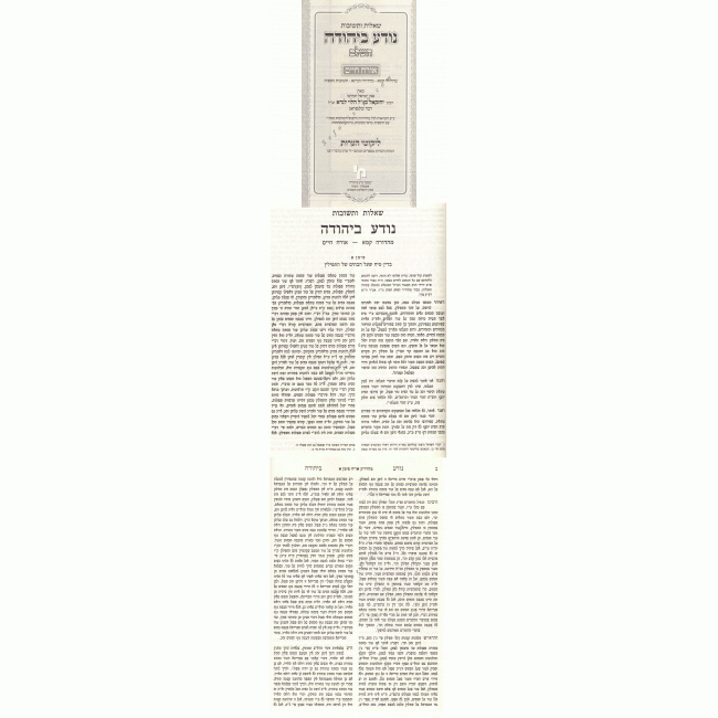 Shut Noda B'Yehudah Machon Yerushalayim        /       שו"ת נודע ביהודה