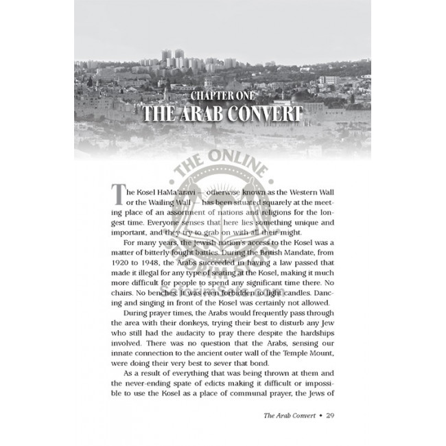 Our Man in Jerusalem (Seltzer)