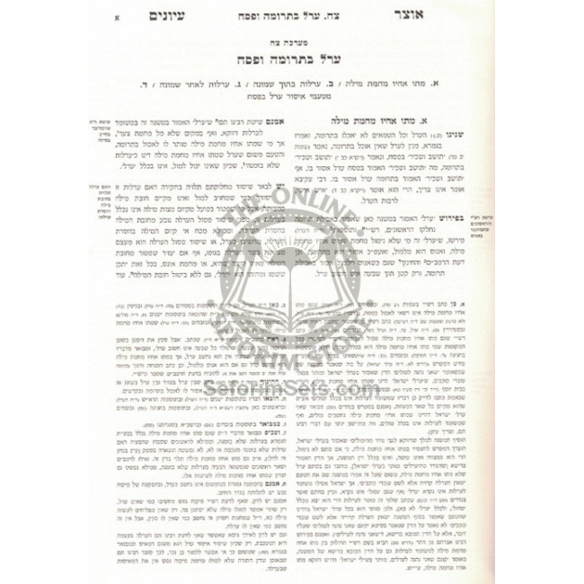Otzer Iyunim - Mesivta Yevomus - Volume 3   /   אוצר עיונים מתיבתא יבמות ג