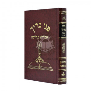 Pnei Boruch - Aveilus   /   פני ברוך - אבילות