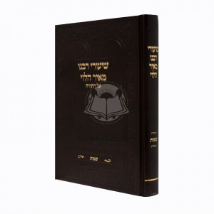 Shiurei Rabeinu Meir Halevi - Shemos / שיעורי רבינו מאיר הלוי - שמות