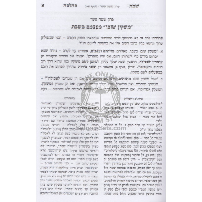 Shabbos K'Halacha Volume 3        /       שבת כהלכה ג