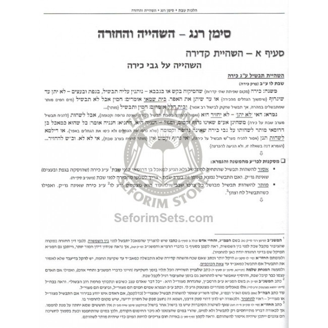 Shiras Hayam - Hilchos Shabbos / שירת הים - הלכות שבת Shiras Hayam - Hilchos Shabbos / שירת הים - הלכות שבת